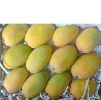 mangoes