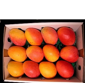 mangoes